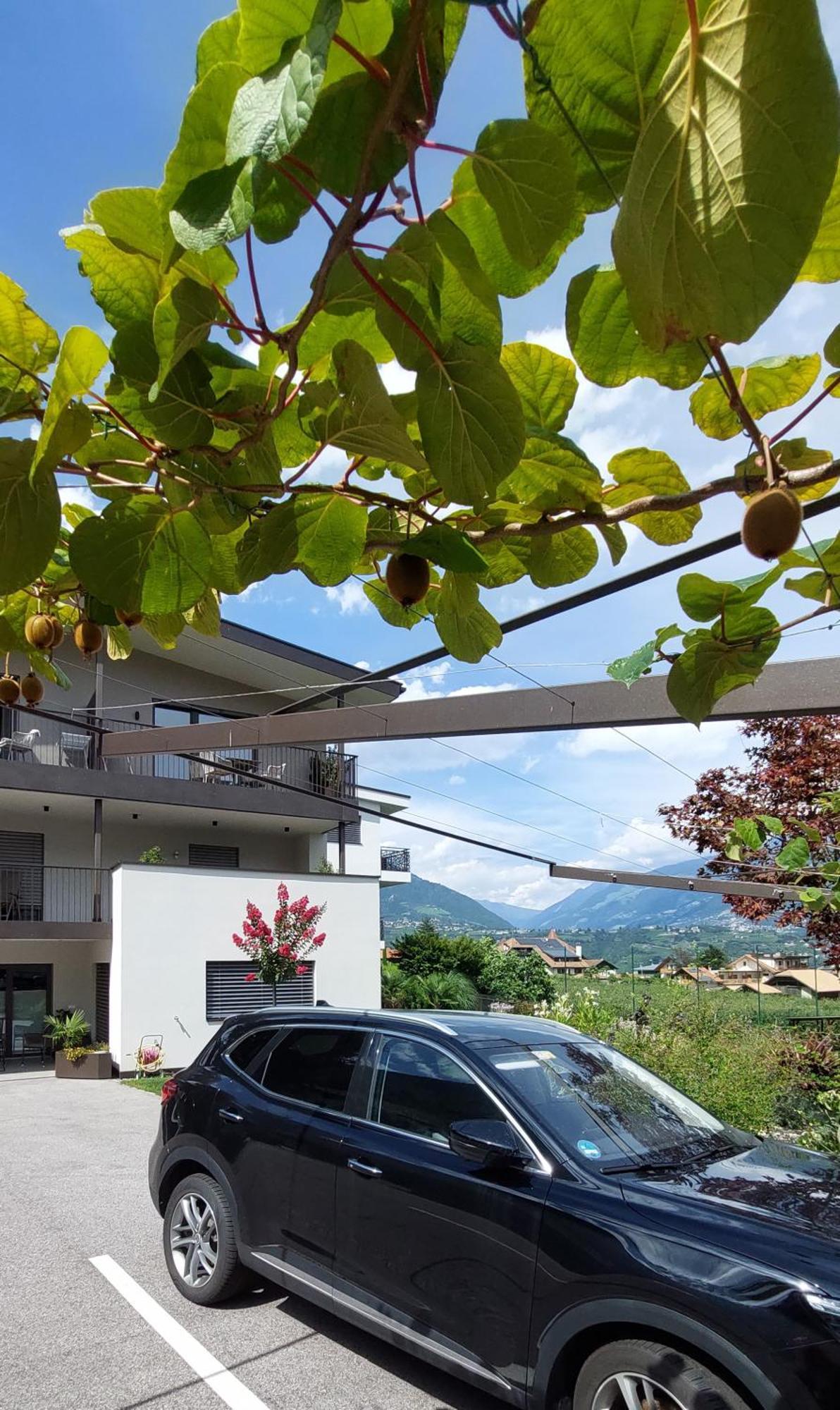 Marlingsuites - Vinea - Wieser Josef - Marling Luaran gambar