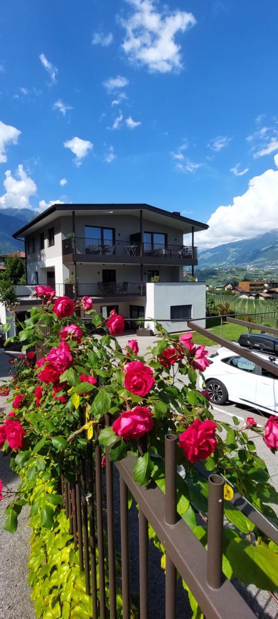 Marlingsuites - Vinea - Wieser Josef - Marling Luaran gambar
