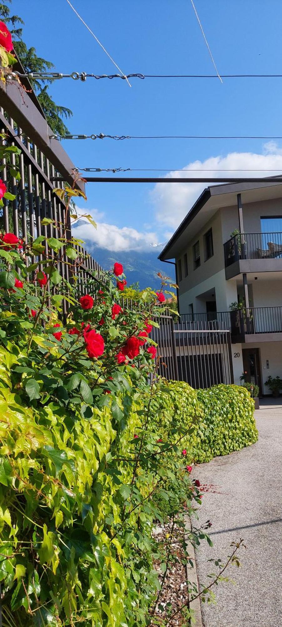 Marlingsuites - Vinea - Wieser Josef - Marling Luaran gambar